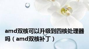 amd双核可以升级到四核处理器吗（amd双核补丁）