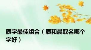 辰字最佳组合（辰和晨取名哪个字好）