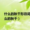 什么的秋千形容词（什么的秋千）