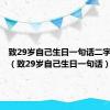 致29岁自己生日一句话二字头已过（致29岁自己生日一句话）