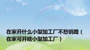 在家开什么小型加工厂不愁销路（在家可开啥小型加工厂）