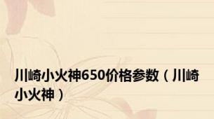 川崎小火神650价格参数（川崎小火神）