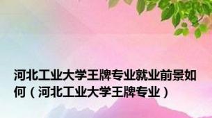 河北工业大学王牌专业就业前景如何（河北工业大学王牌专业）