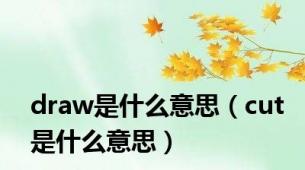 draw是什么意思（cut是什么意思）