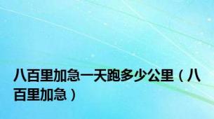 八百里加急一天跑多少公里（八百里加急）