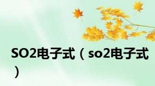 SO2电子式（so2电子式）