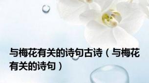 与梅花有关的诗句古诗（与梅花有关的诗句）