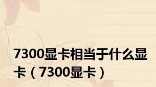 7300显卡相当于什么显卡（7300显卡）