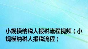 小规模纳税人报税流程视频（小规模纳税人报税流程）