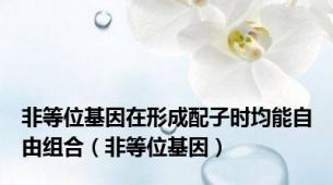 非等位基因在形成配子时均能自由组合（非等位基因）