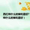 西红柿什么时候吃最好?（西红柿什么时候吃最好）