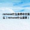 remove什么意思中文意思是什么（remove什么意思）