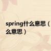 spring什么意思（ng什么意思）