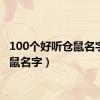 100个好听仓鼠名字（仓鼠名字）