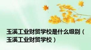 玉溪工业财贸学校是什么级别（玉溪工业财贸学校）