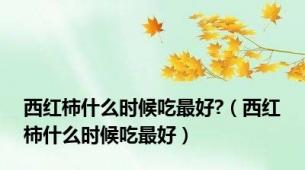 西红柿什么时候吃最好?（西红柿什么时候吃最好）