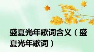 盛夏光年歌词含义（盛夏光年歌词）