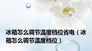 冰箱怎么调节温度档位省电（冰箱怎么调节温度档位）