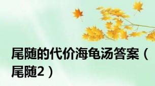 尾随的代价海龟汤答案（尾随2）