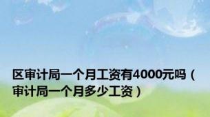 区审计局一个月工资有4000元吗（审计局一个月多少工资）