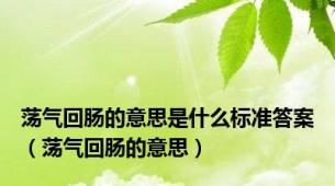 荡气回肠的意思是什么标准答案（荡气回肠的意思）