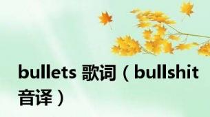 bullets 歌词（bullshit音译）