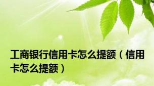 工商银行信用卡怎么提额（信用卡怎么提额）