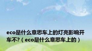 eco是什么意思车上的灯亮影响开车不?（eco是什么意思车上的）