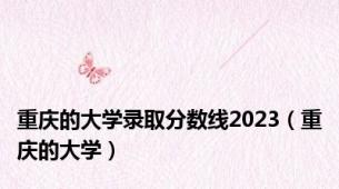 重庆的大学录取分数线2023（重庆的大学）