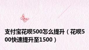 支付宝花呗500怎么提升（花呗500快速提升至1500）