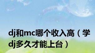 dj和mc哪个收入高（学dj多久才能上台）