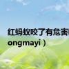 红蚂蚁咬了有危害吗（hongmayi）