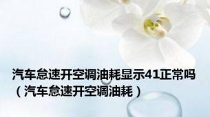 汽车怠速开空调油耗显示41正常吗（汽车怠速开空调油耗）