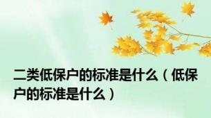 二类低保户的标准是什么（低保户的标准是什么）