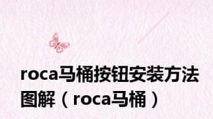 roca马桶按钮安装方法图解（roca马桶）