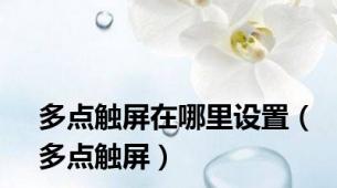 多点触屏在哪里设置（多点触屏）