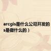 arcgis是什么公司开发的（arcgis是做什么的）