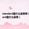 standard是什么意思啊（standard是什么意思）