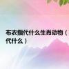 布衣指代什么生肖动物（布衣指代什么）