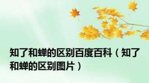 知了和蝉的区别百度百科（知了和蝉的区别图片）