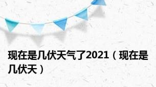 现在是几伏天气了2021（现在是几伏天）