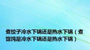 煮饺子冷水下锅还是热水下锅（煮馄饨是冷水下锅还是热水下锅）