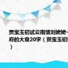 贾宝玉初试云雨情刘姥姥一进荣国府的大意20字（贾宝玉初试云雨情）