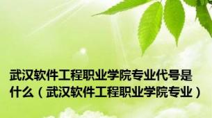 武汉软件工程职业学院专业代号是什么（武汉软件工程职业学院专业）