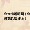 fate卡莲动画（fate卡莲第几集被上）