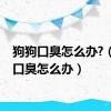 狗狗口臭怎么办?（狗狗口臭怎么办）