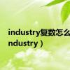 industry复数怎么写（industry）