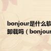 bonjour是什么软件能卸载吗（bonjour）