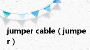 jumper cable（jumper）