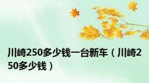 川崎250多少钱一台新车（川崎250多少钱）